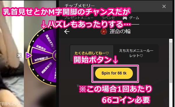 STRIPCHATのゲームwheel of fortuneの内容